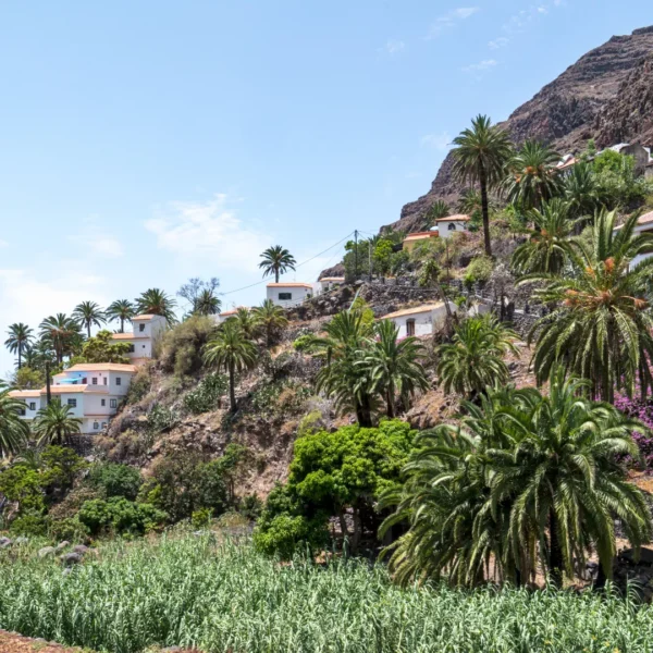 La Gomera – Bild 4