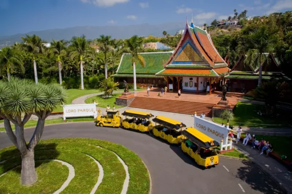 Loro Parque - Image 2