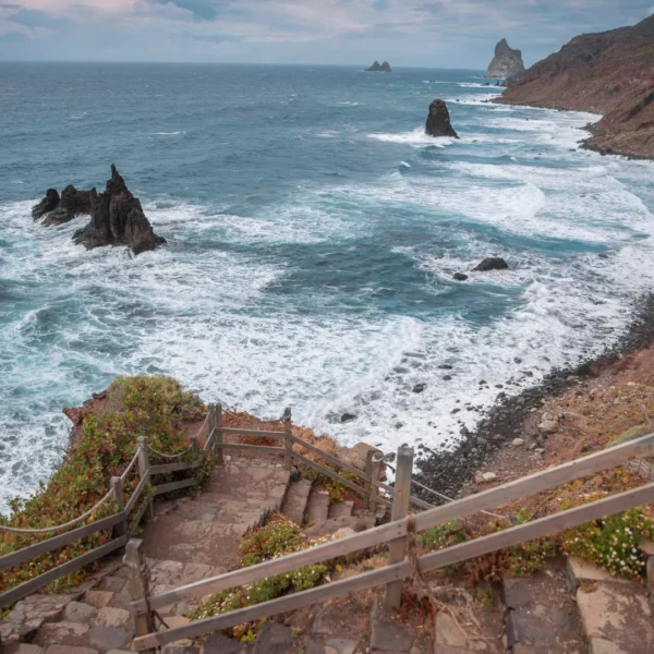 Island Tour: La Laguna - Anaga - Santa Cruz (from the south) - Image 2