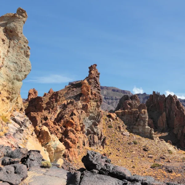 Island Tour: Teide - Masca - Garachico - Icod (from the south) - Image 8