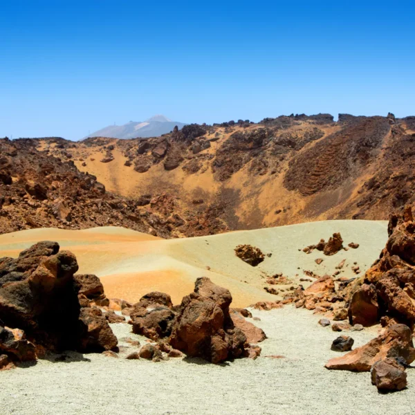 Teide Day Trip - from the south - Image 4