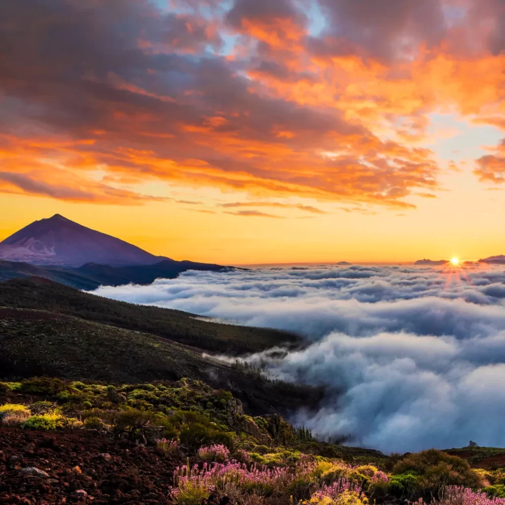 Teide by night