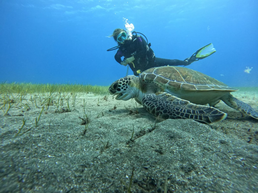 diving-tenerife