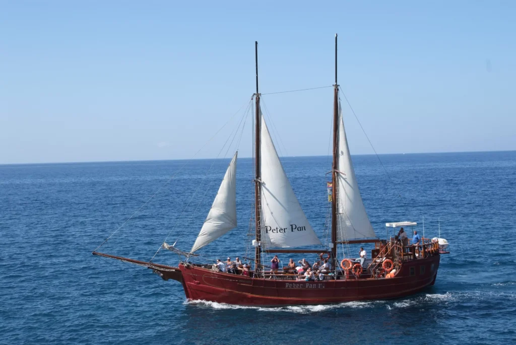 whale-watching-tenerife