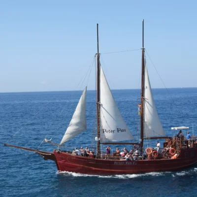 whale-watching-tenerife