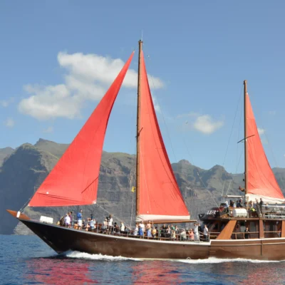 whale-watching-tenerife