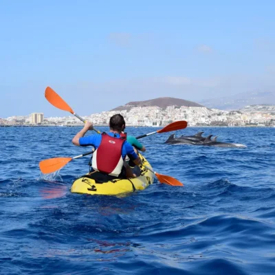 kayak-dolphins